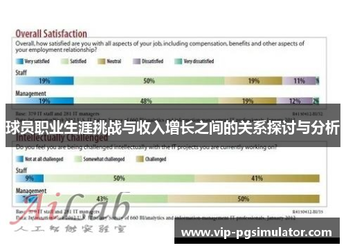 球员职业生涯挑战与收入增长之间的关系探讨与分析