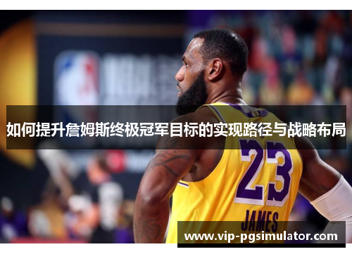 如何提升詹姆斯终极冠军目标的实现路径与战略布局