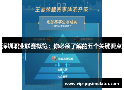 深圳职业联赛概览:你必须了解的五个关键要点