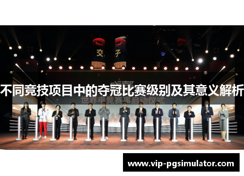 不同竞技项目中的夺冠比赛级别及其意义解析