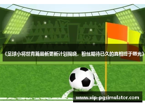 《足球小将世青篇最新更新计划揭晓,粉丝期待已久的真相终于曝光》