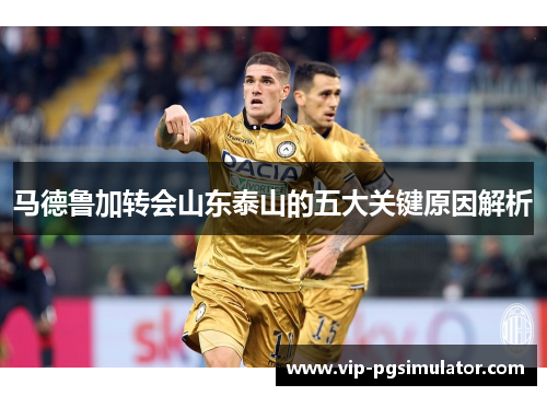 马德鲁加转会山东泰山的五大关键原因解析