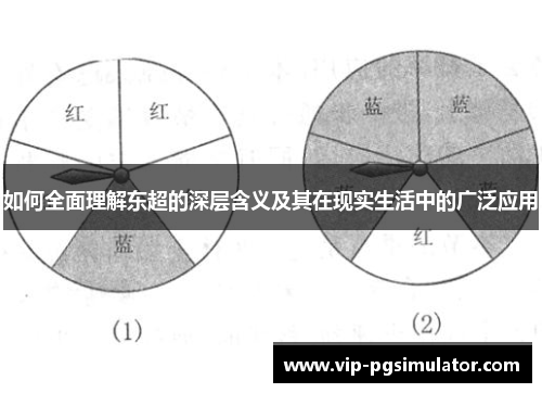如何全面理解东超的深层含义及其在现实生活中的广泛应用