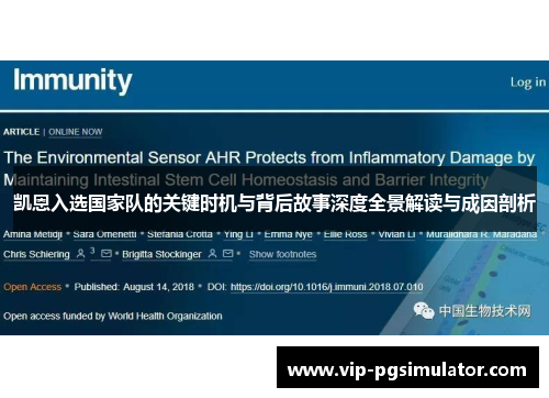 凯恩入选国家队的关键时机与背后故事深度全景解读与成因剖析