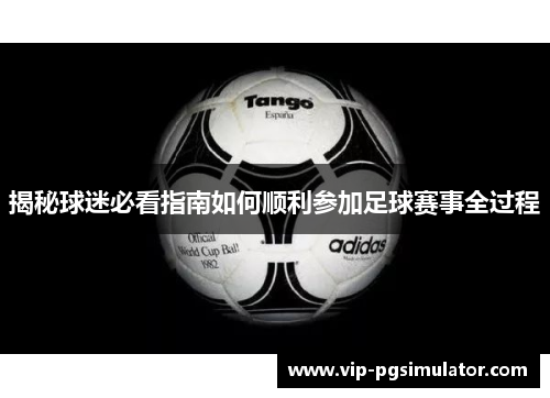 揭秘球迷必看指南如何顺利参加足球赛事全过程