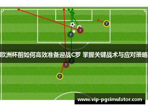 欧洲杯前如何高效准备迎战C罗 掌握关键战术与应对策略